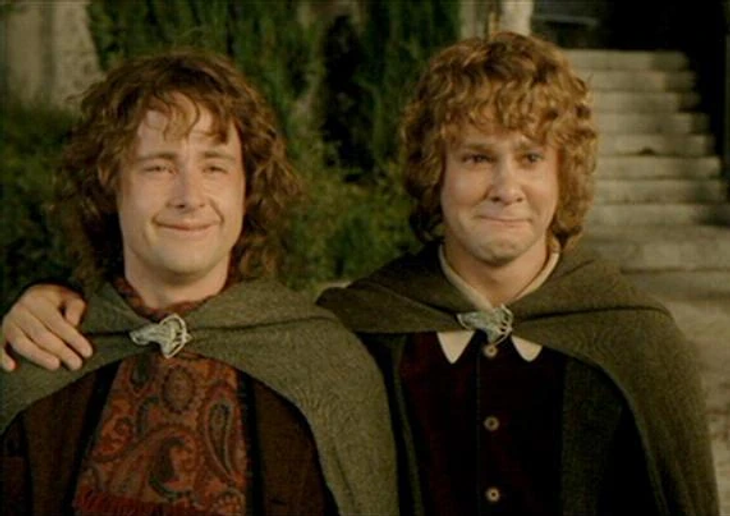 Pippin and Merry (Lord of the Rings)