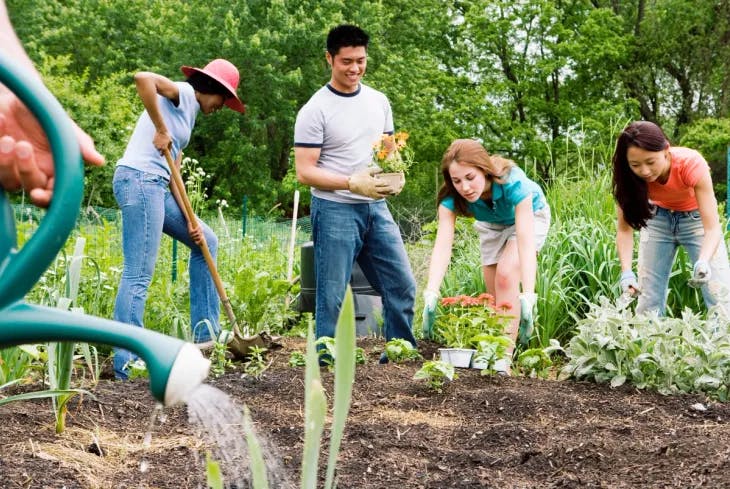 A group of people gardening - enneagram 9 hobbies