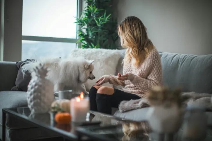 Woman sitting on the sofa with her furry companion