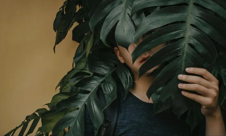 A person hiding behind a plant