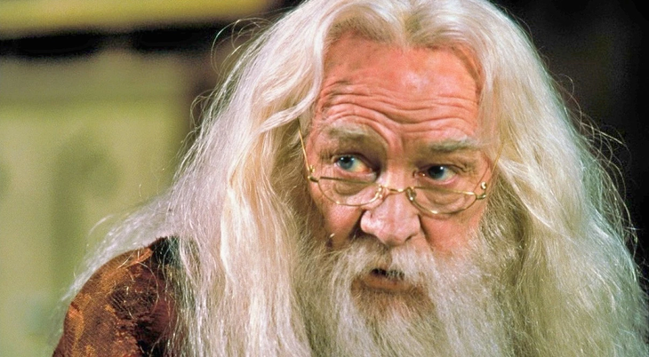 Albus Dumbledore type 9 fictional character