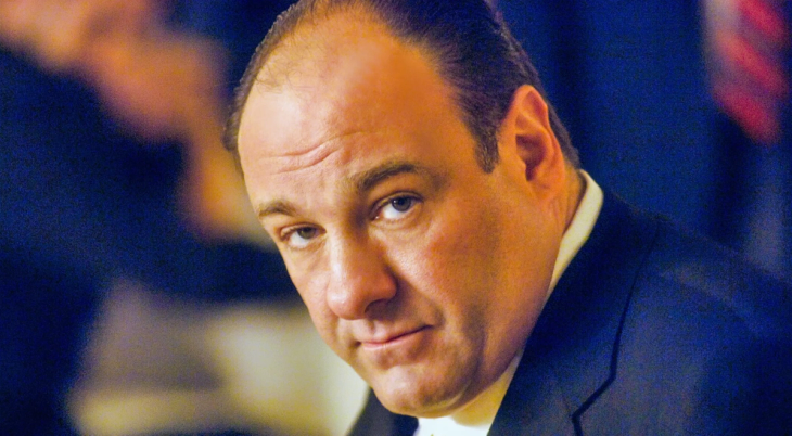 Tony Soprano (The Sopranos) - enneagram 8 fictional characters 